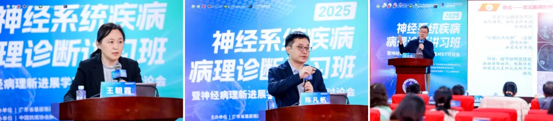 /uploads/image/2025/12/16/879566_6b112344920e1cf7b8b477cc44660bb7.png 6b112344920e1cf7b8b477cc44660bb7.png